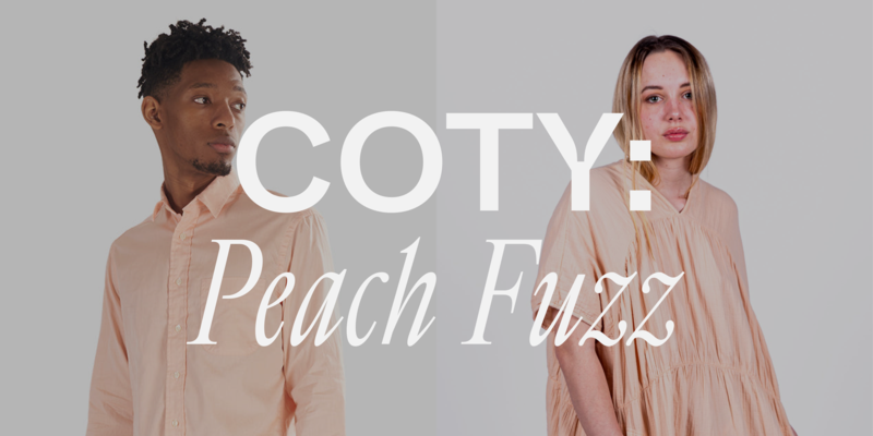 Color of the Year: Peach Fuzz